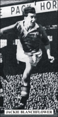 Click to view larger image