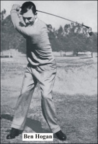 Click to view larger image